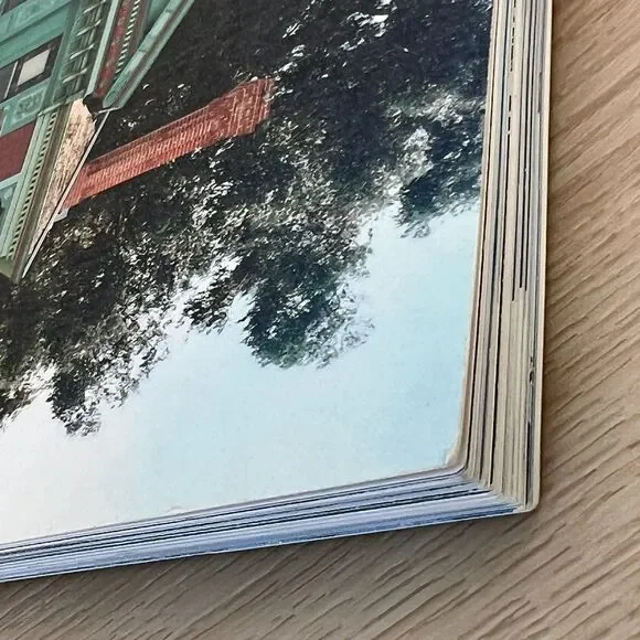 Daughters of Painted Ladies: America's Resplendent Victorians Pomada & Larsen - Picture 4 of 16